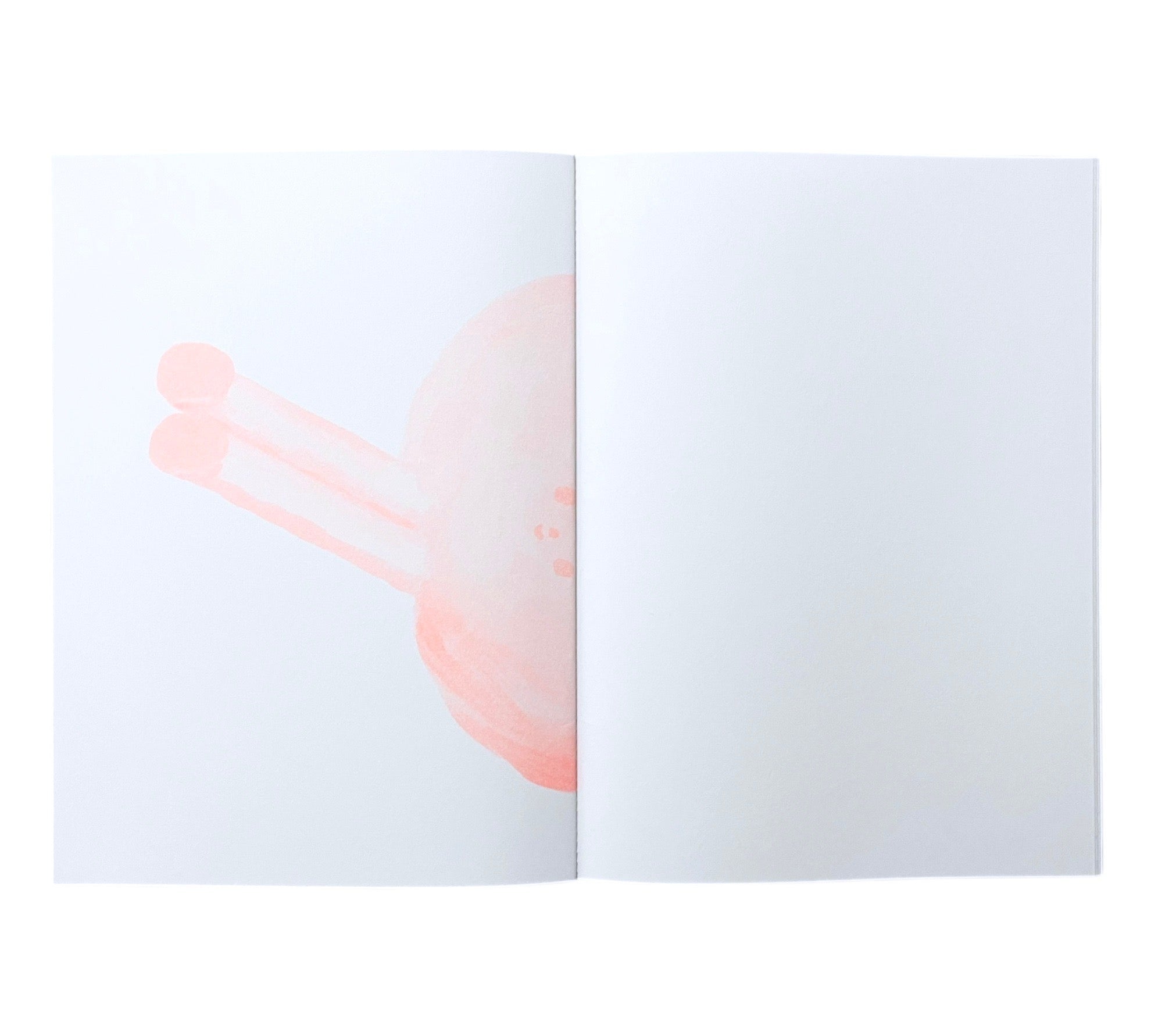 Riso Sketchbook (Single or Pack of 3)