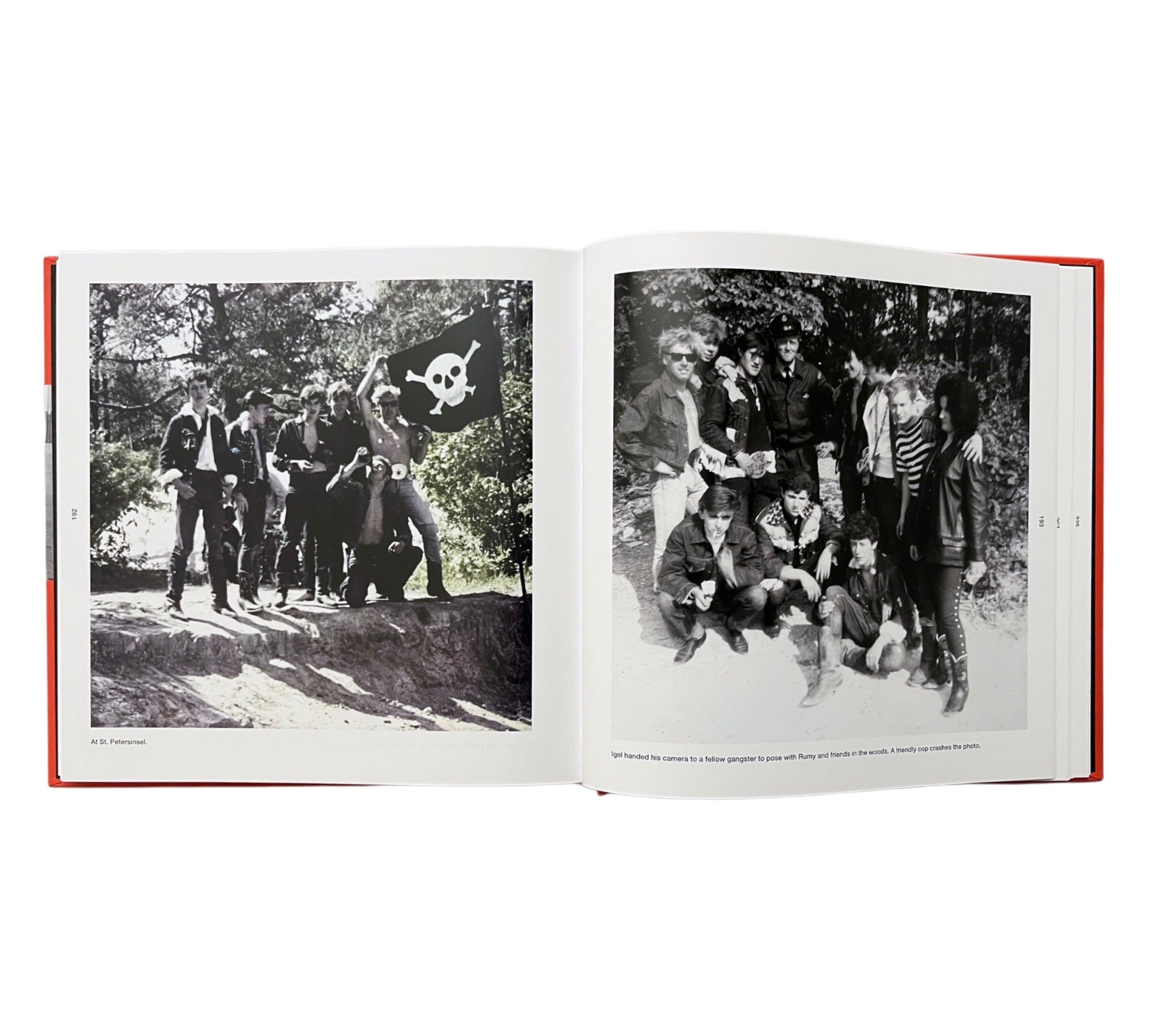 Halbstark Baby-Baby Halbstark!: Teenage Street Gangs in Switzerland 1962-1972