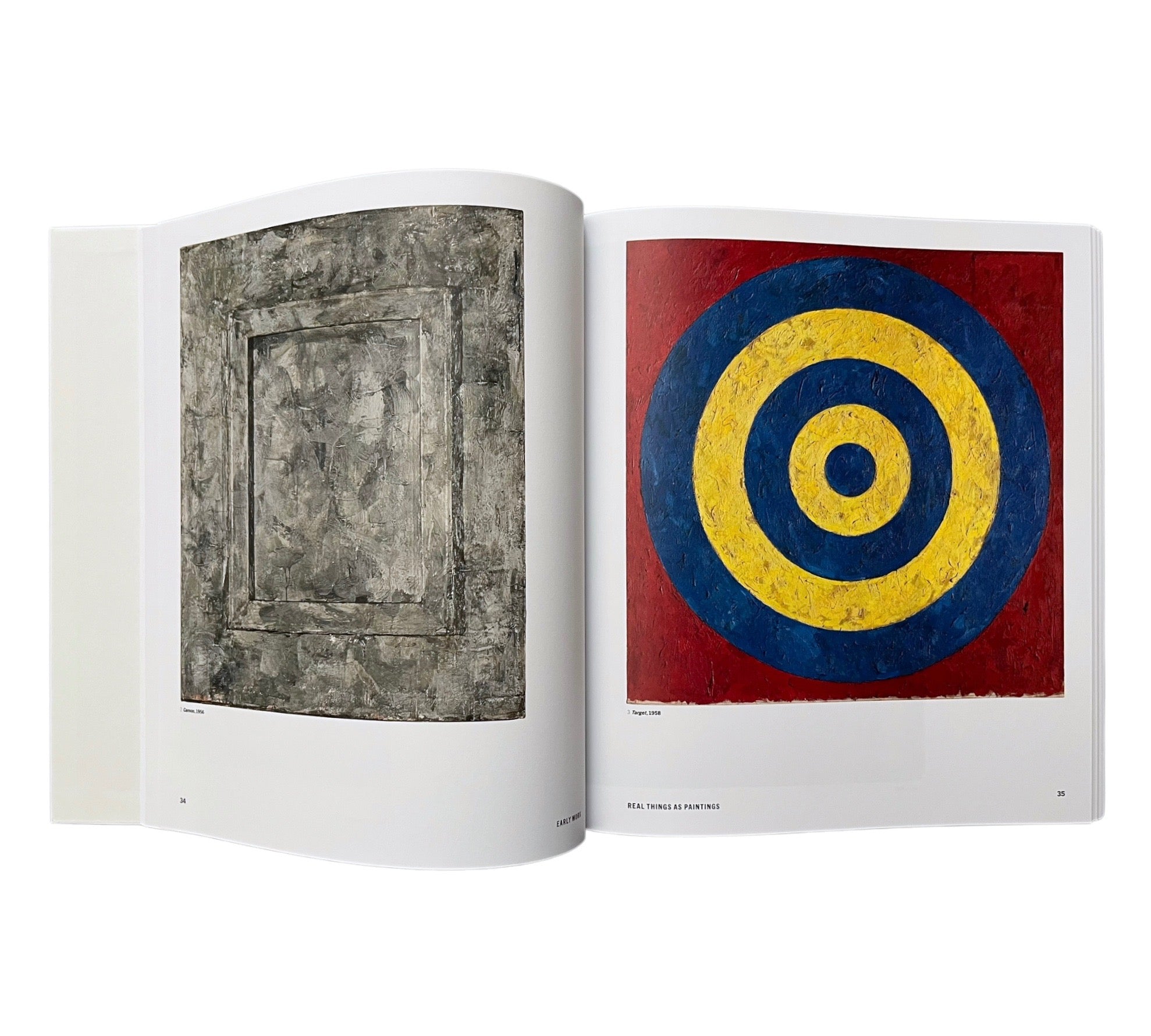 Jasper Johns: Mind/Mirror