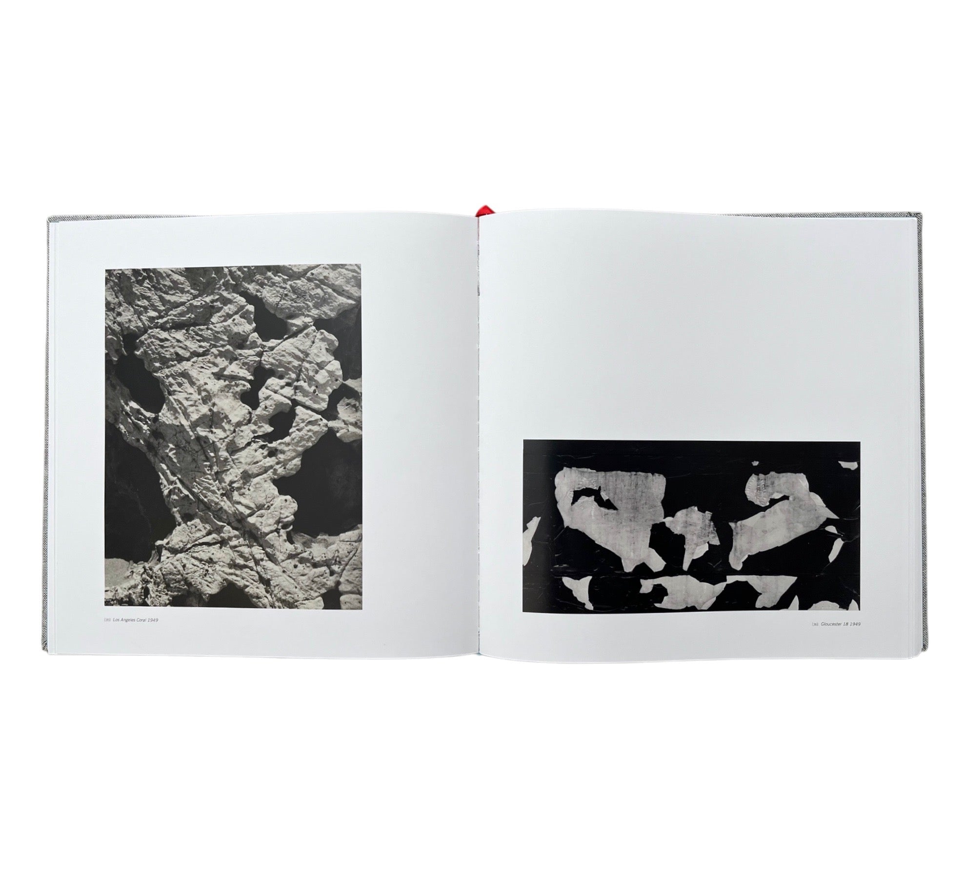 Aaron Siskind: Mid Century Modern