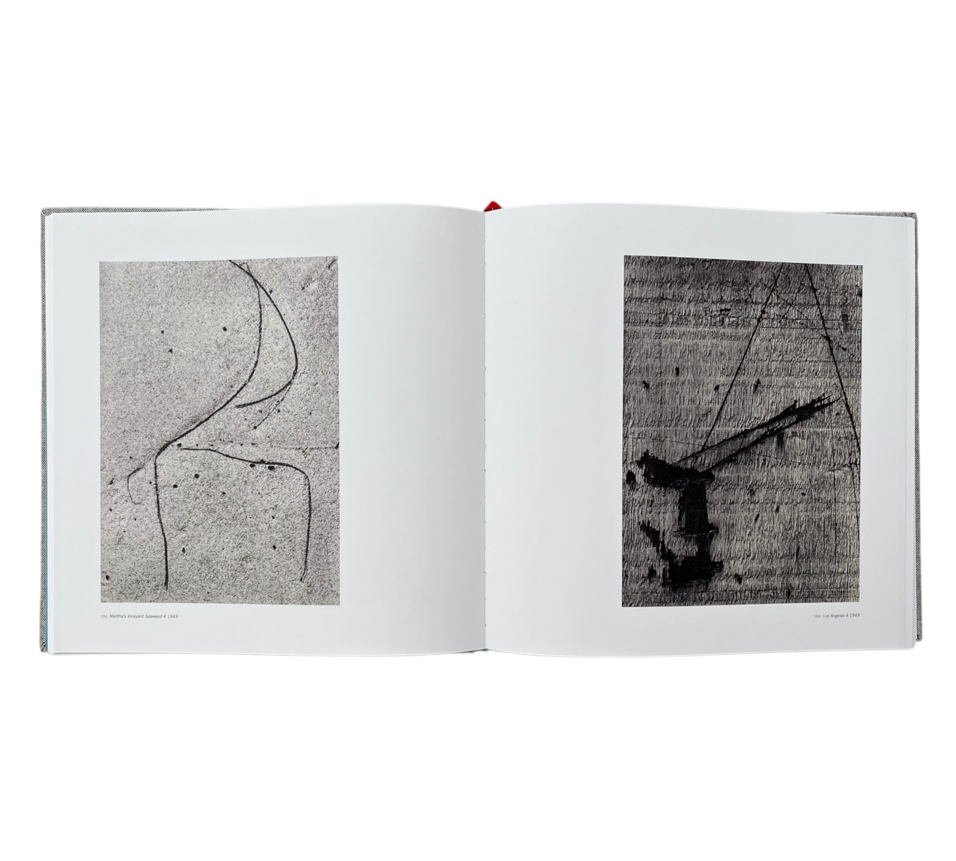 Aaron Siskind: Mid Century Modern