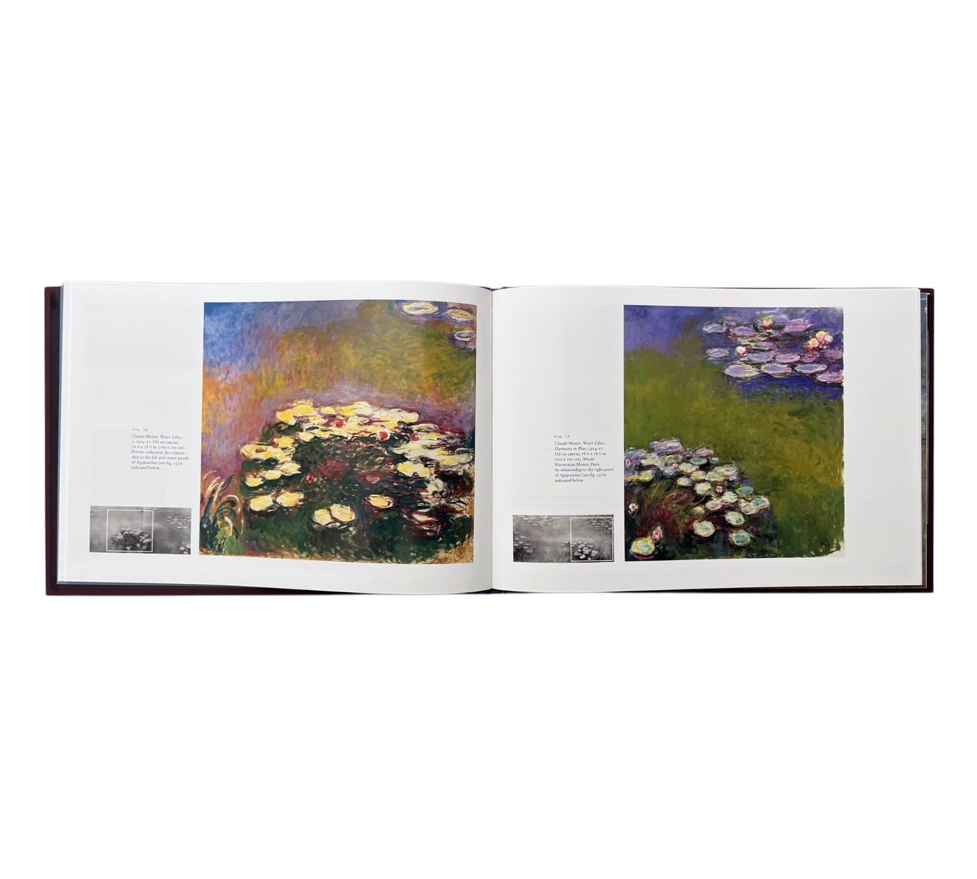 Monet's Water Lilies: The Agapanthus Triptych