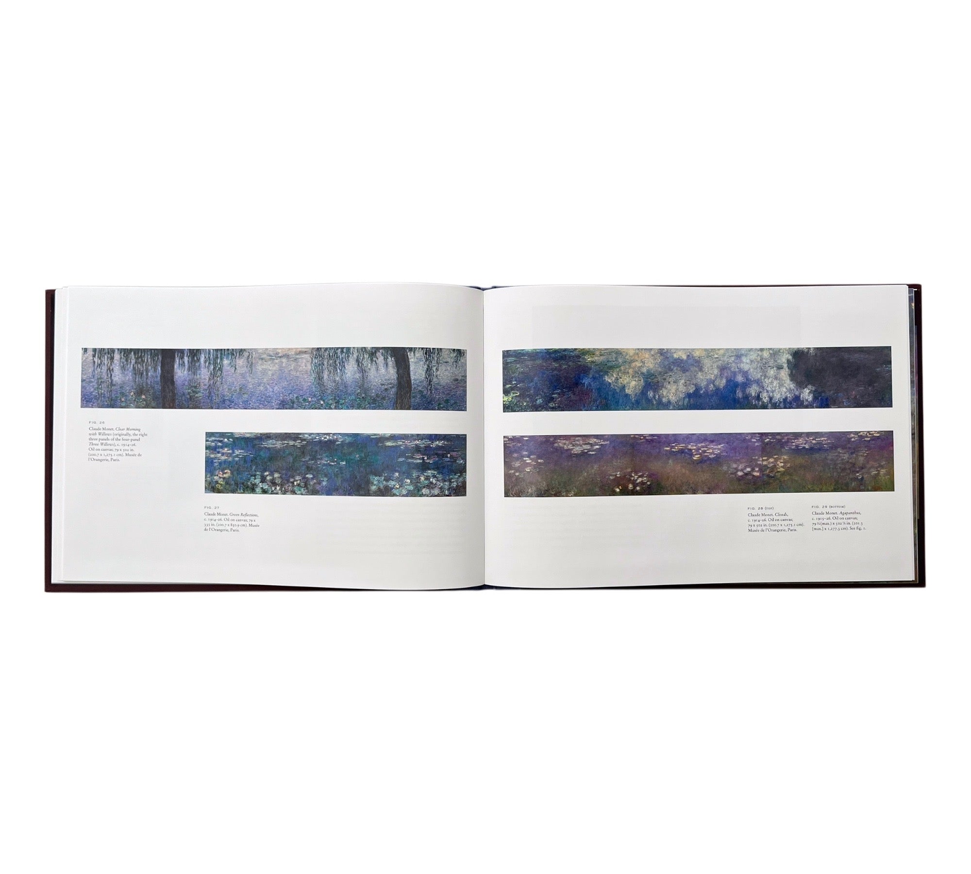 Monet's Water Lilies: The Agapanthus Triptych