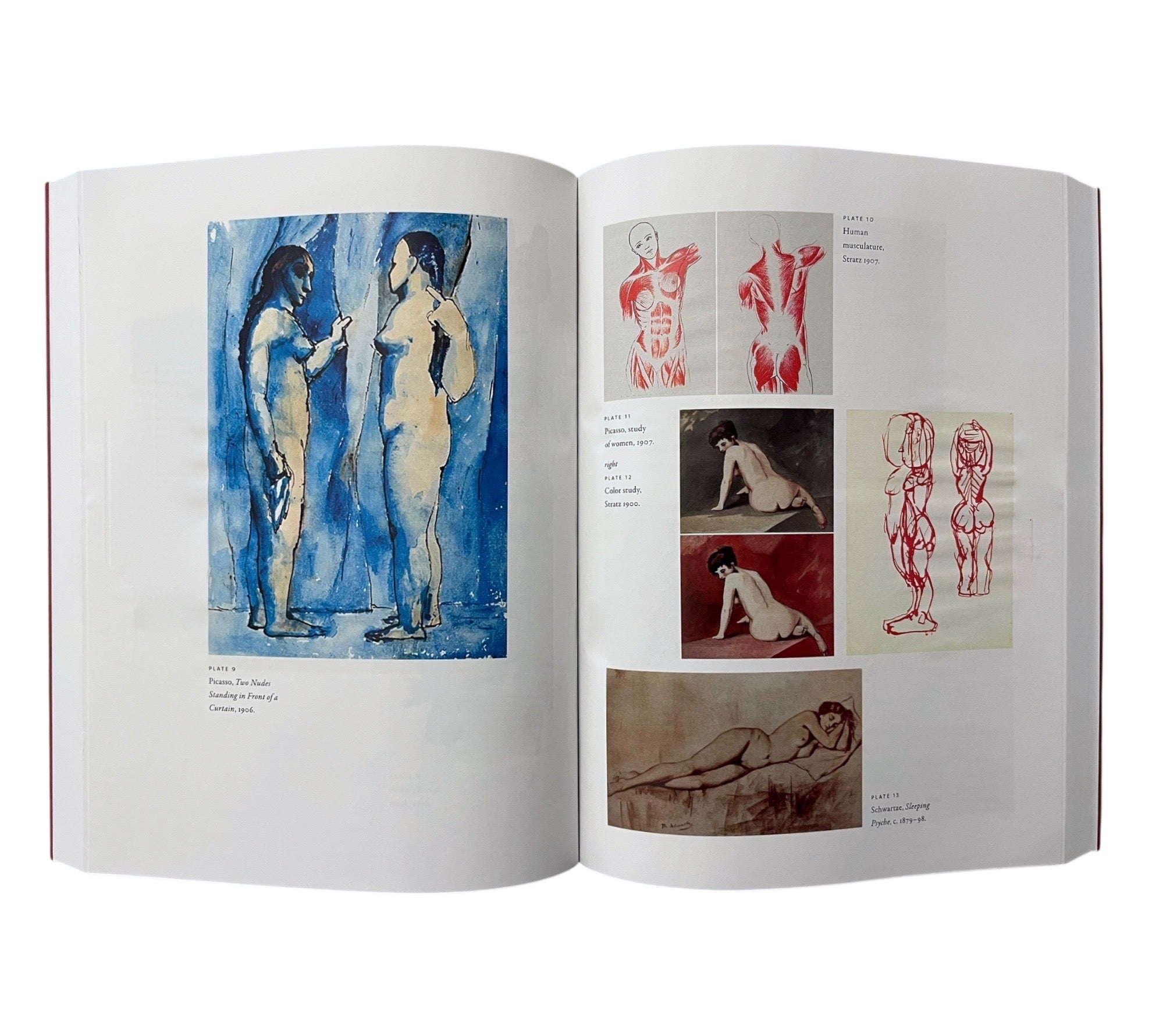 Picasso's Demoiselles: The Untold Origins of a Modern Masterpiece