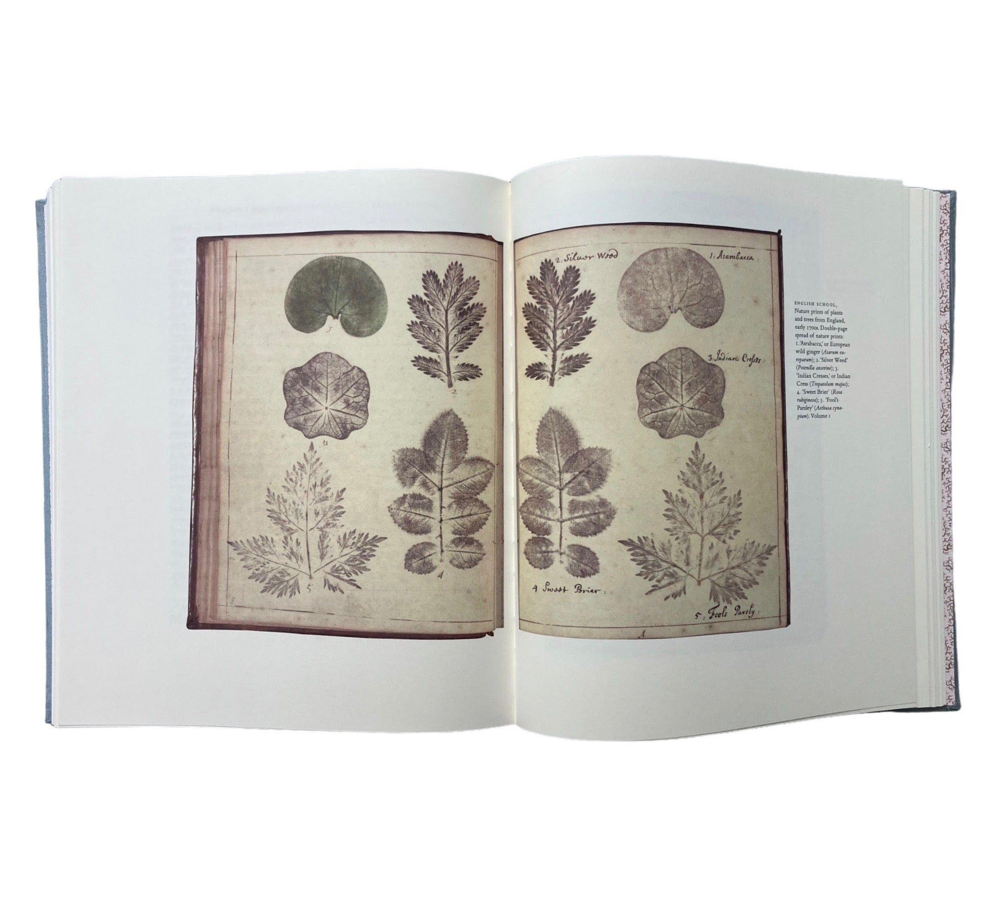 An Oak Spring Herbaria: A Selection of Rare Books, Manuscripts, and Works of Art