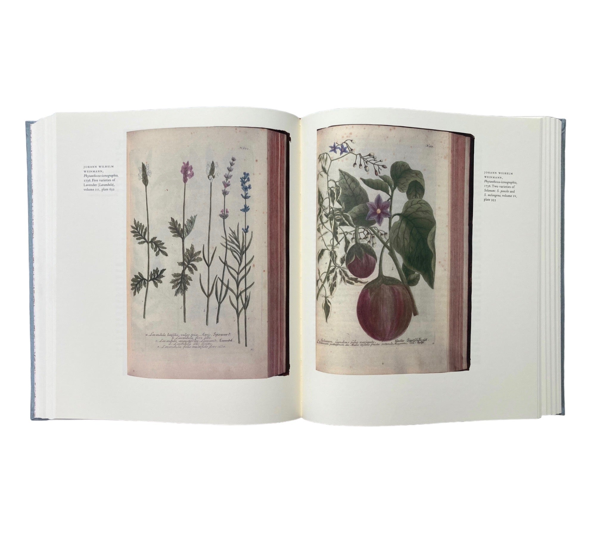 An Oak Spring Herbaria: A Selection of Rare Books, Manuscripts, and Works of Art