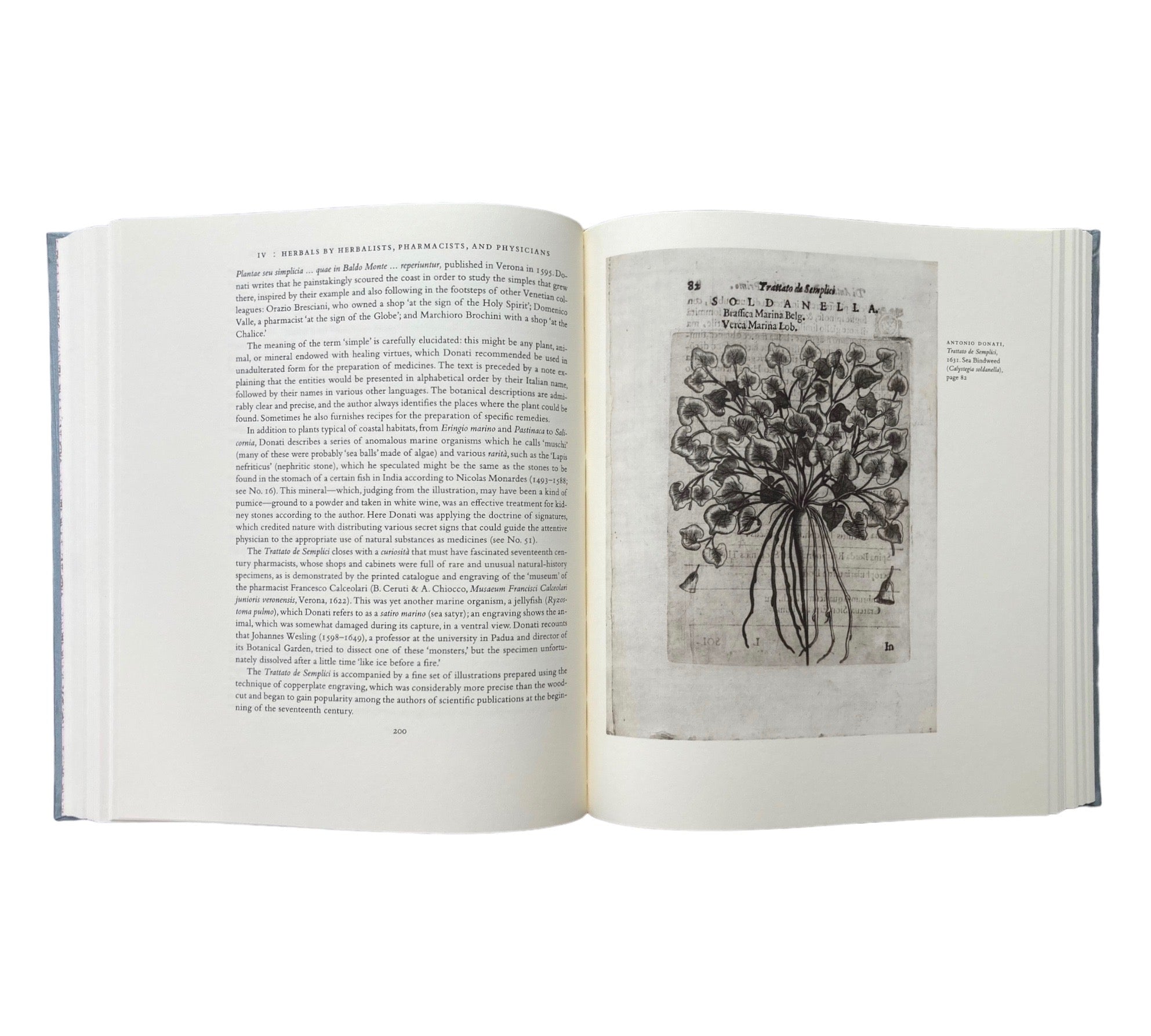 An Oak Spring Herbaria: A Selection of Rare Books, Manuscripts, and Works of Art