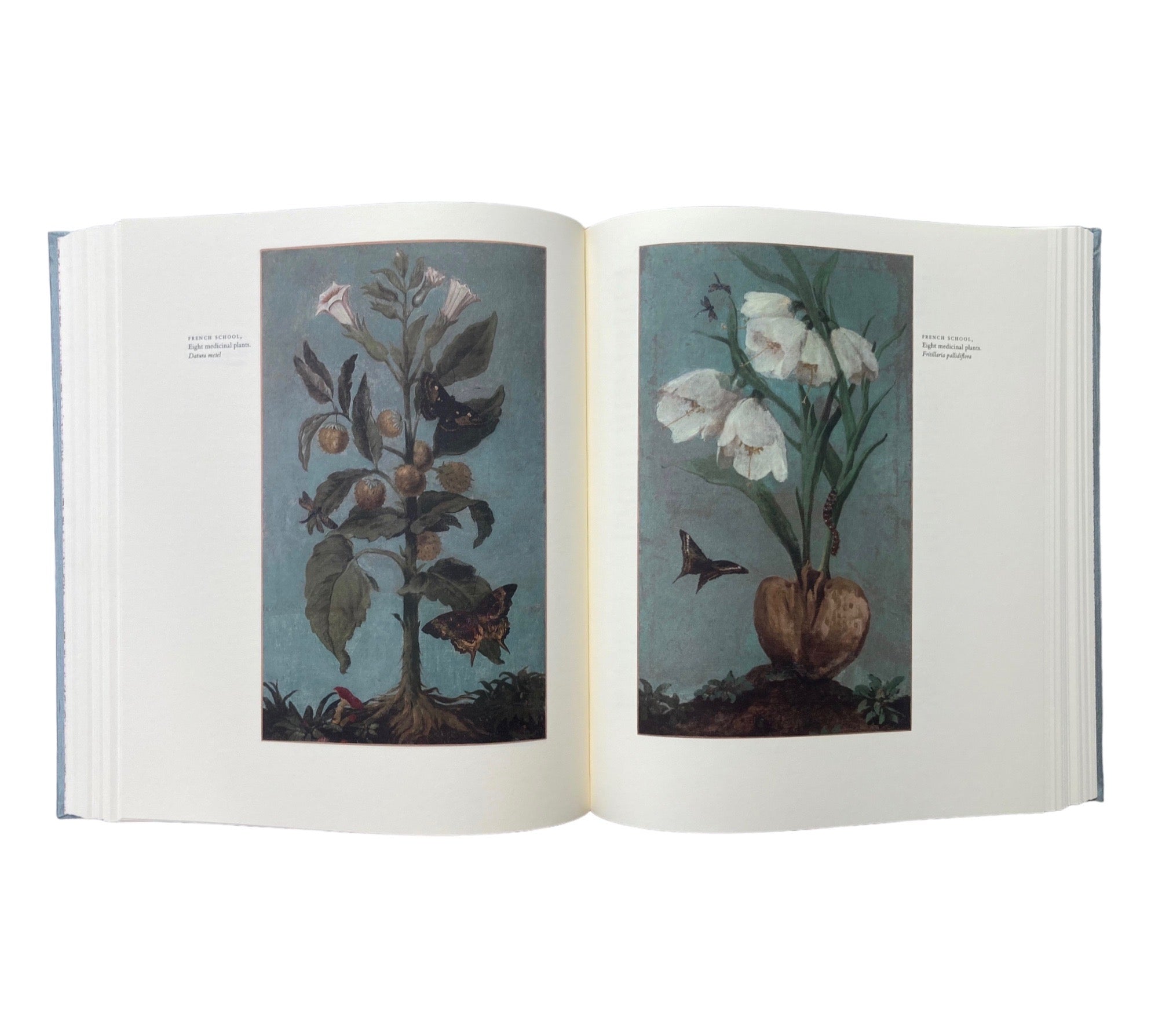 An Oak Spring Herbaria: A Selection of Rare Books, Manuscripts, and Works of Art