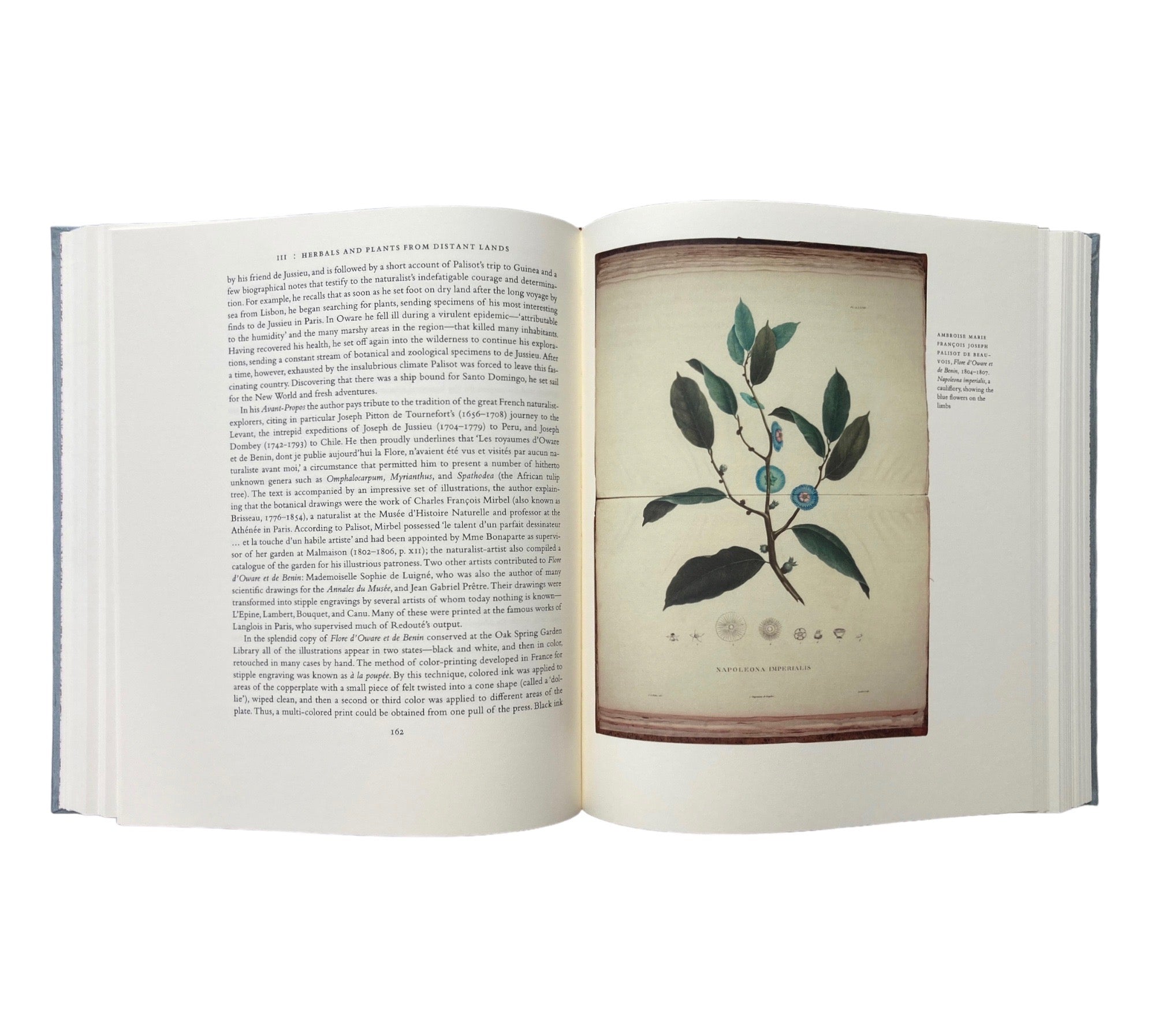 An Oak Spring Herbaria: A Selection of Rare Books, Manuscripts, and Works of Art