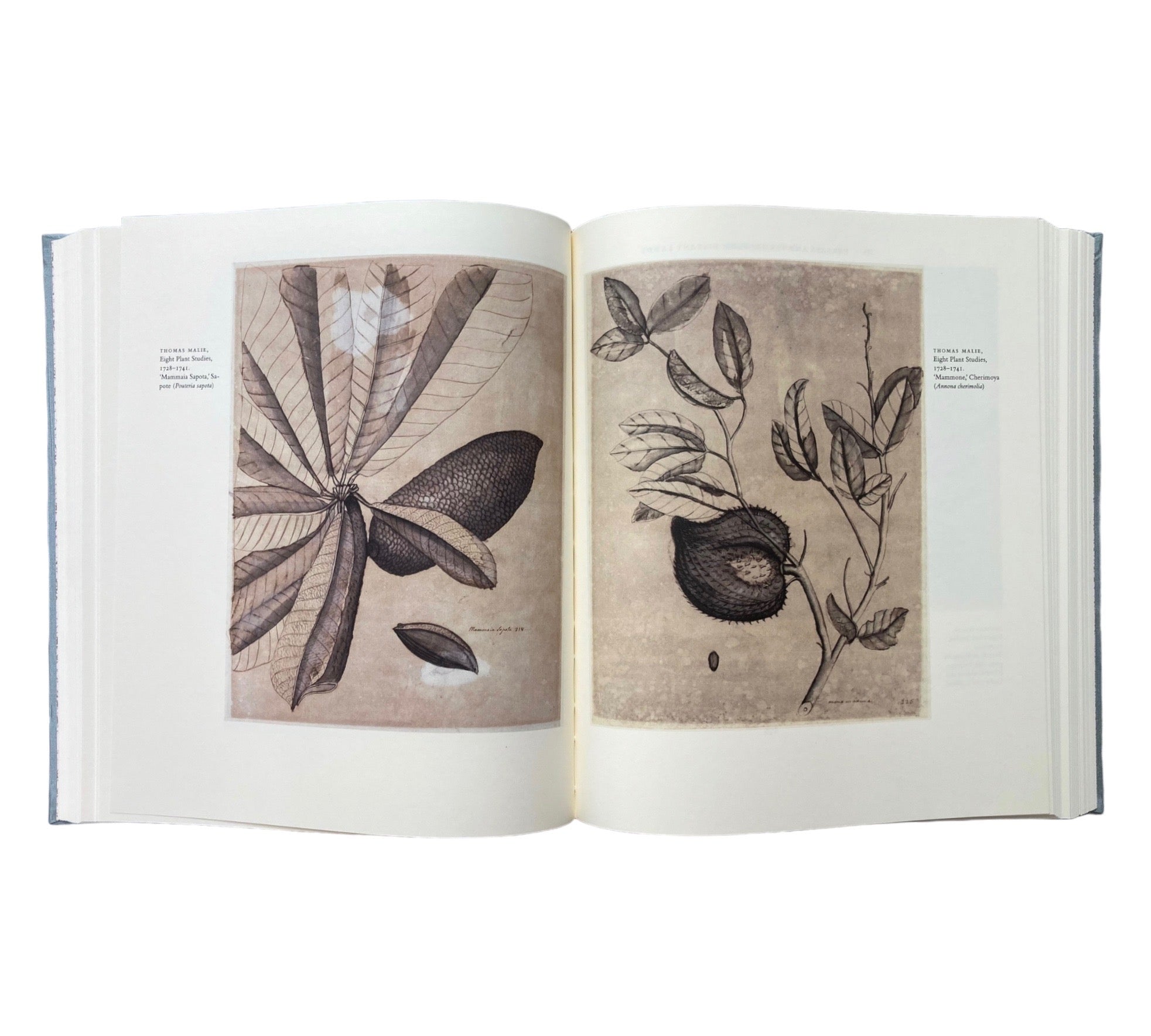 An Oak Spring Herbaria: A Selection of Rare Books, Manuscripts, and Works of Art