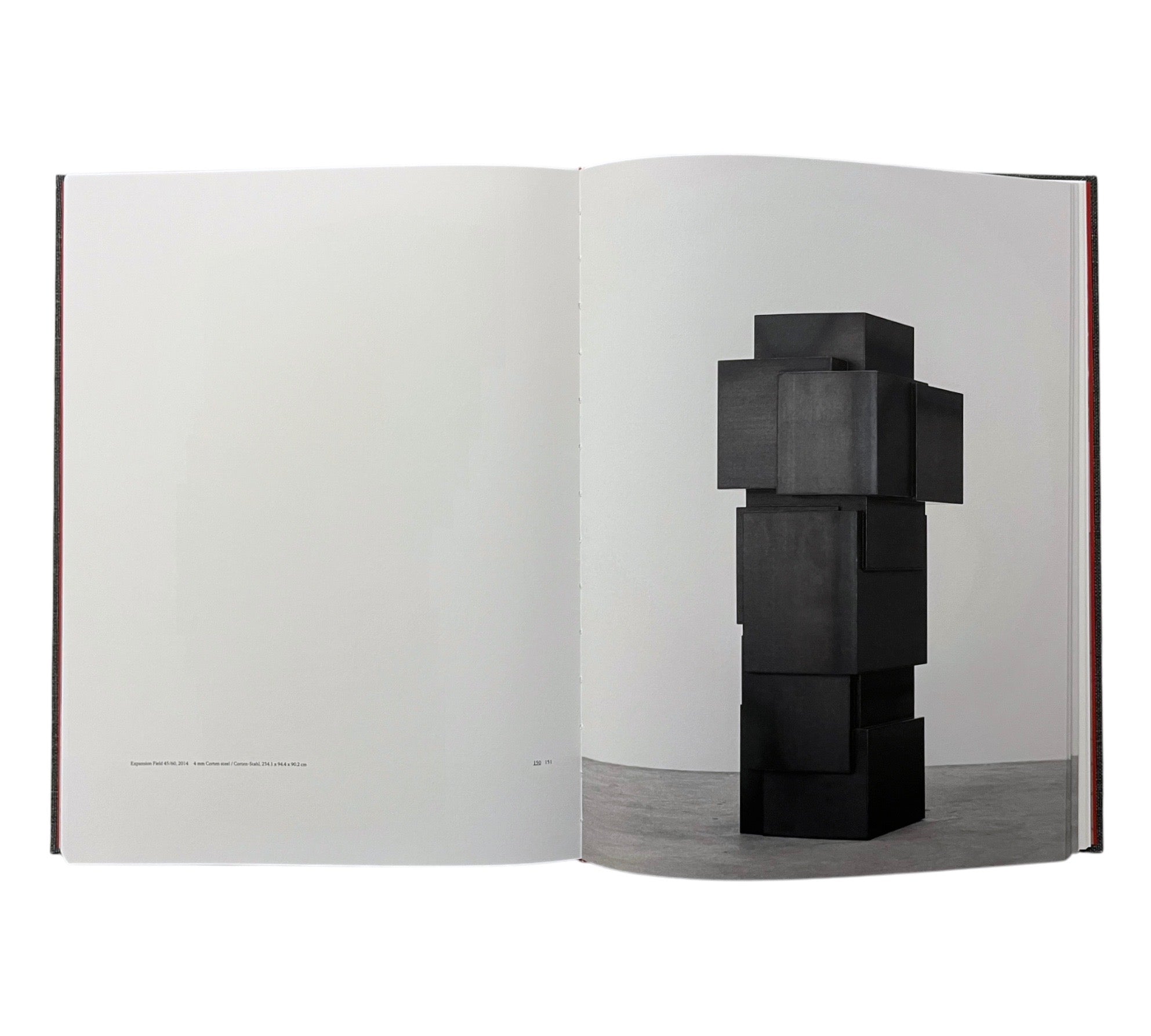 Antony Gormley: Expansion Field