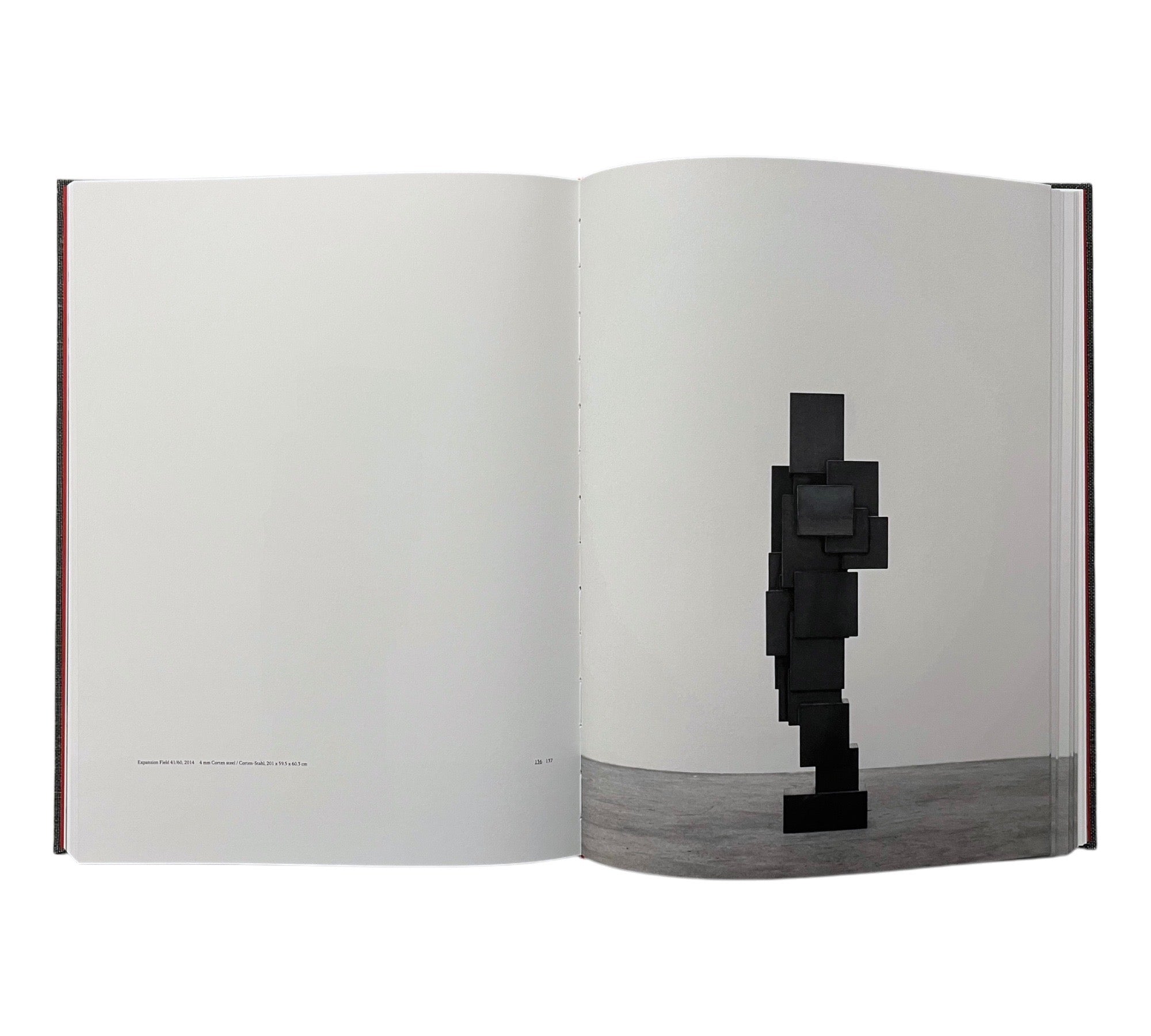 Antony Gormley: Expansion Field