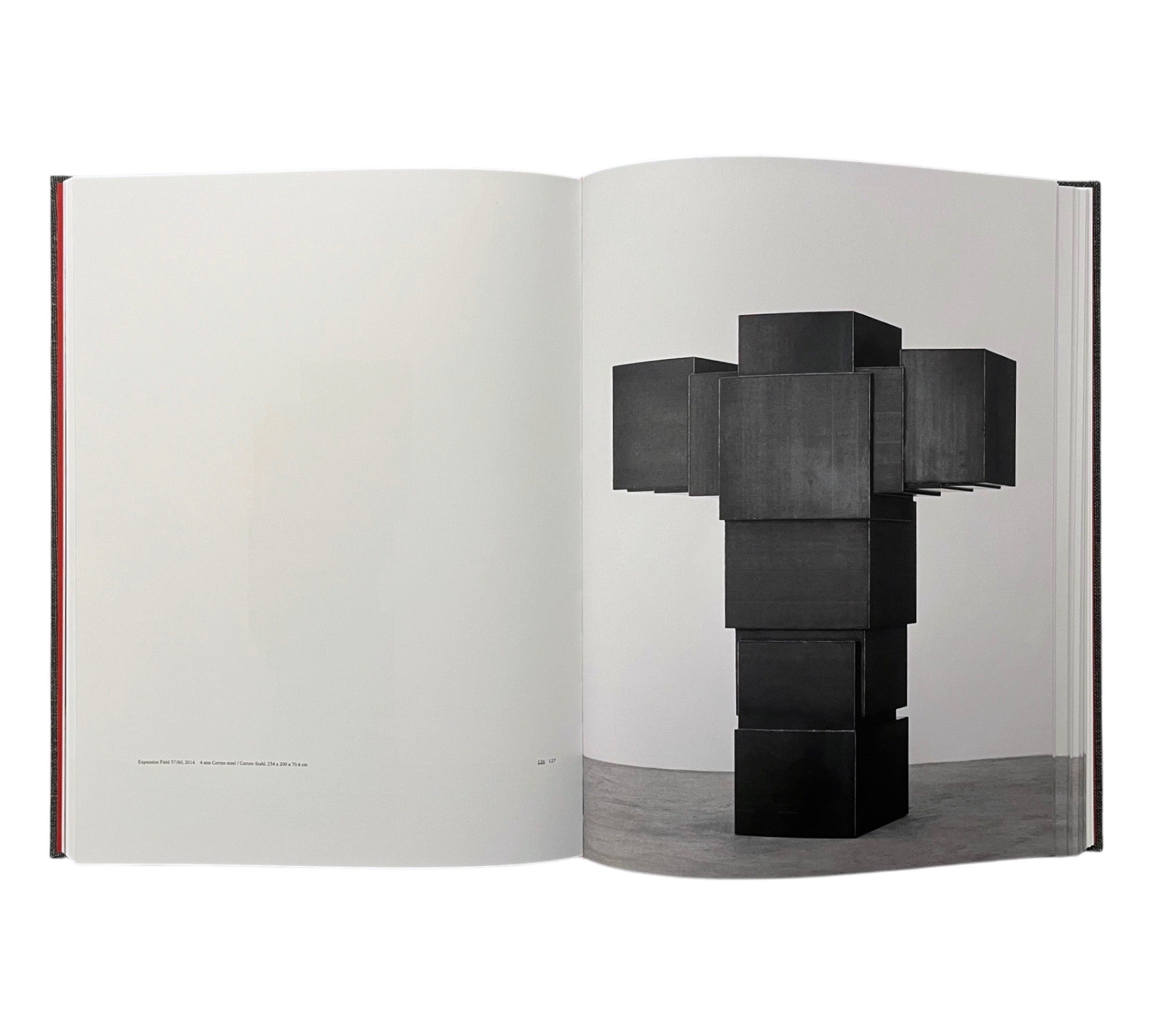 Antony Gormley: Expansion Field