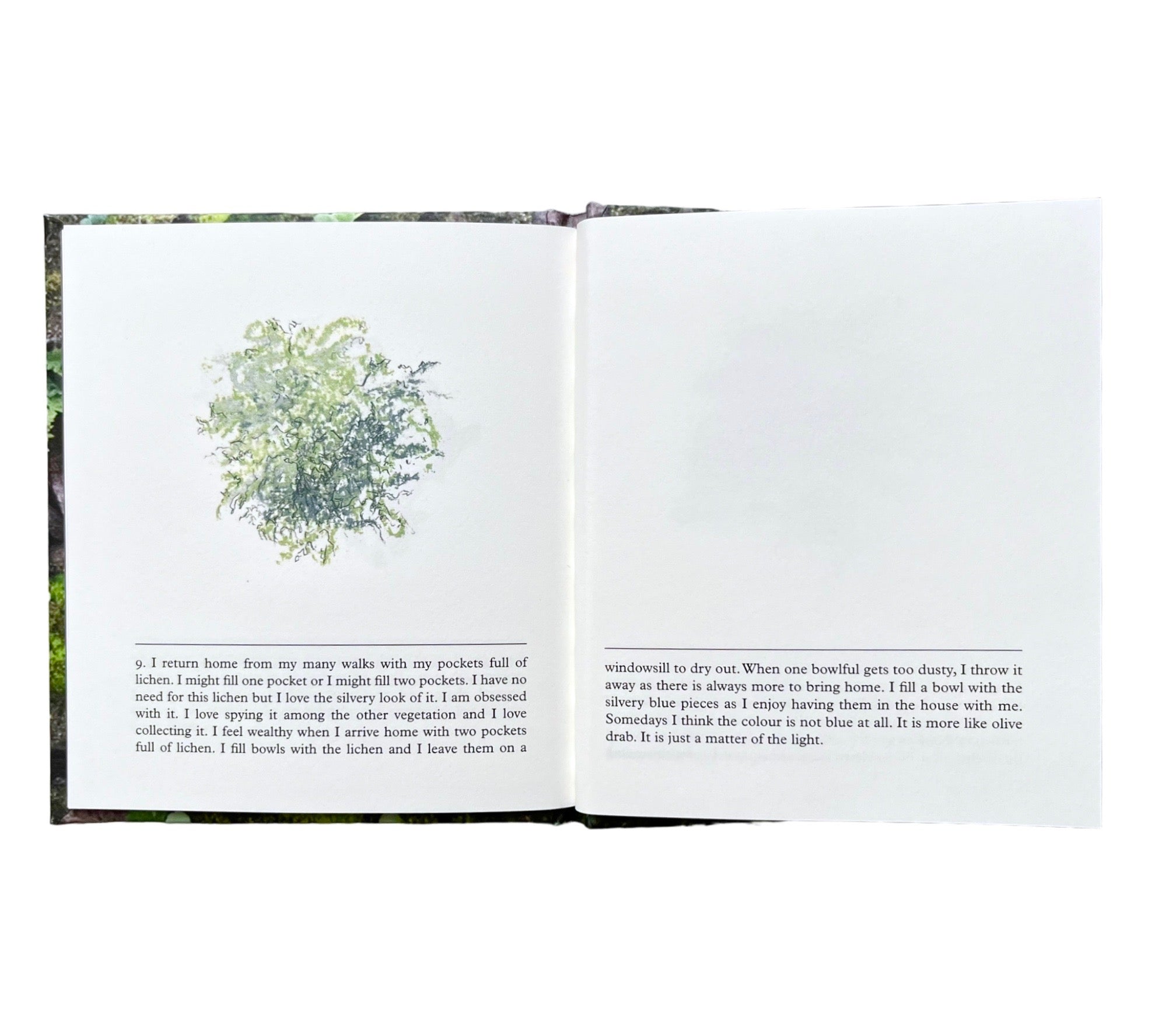 Erica Van Horn & Kate Van Houten: of Lichen & Moss