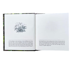 Erica Van Horn & Kate Van Houten: of Lichen & Moss