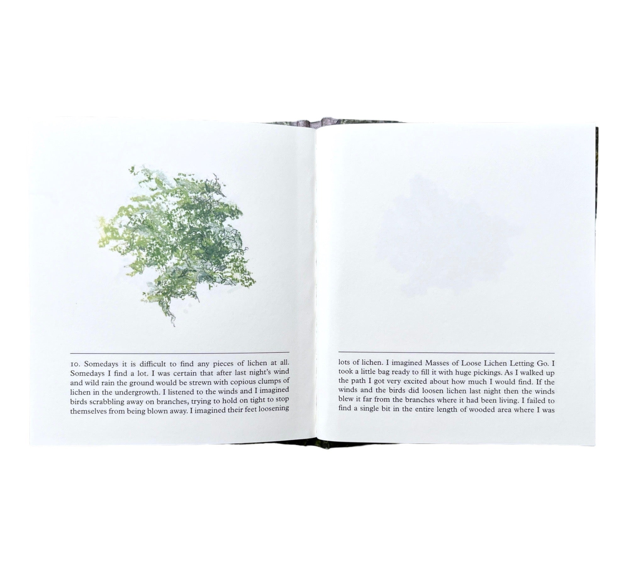 Erica Van Horn & Kate Van Houten: of Lichen & Moss