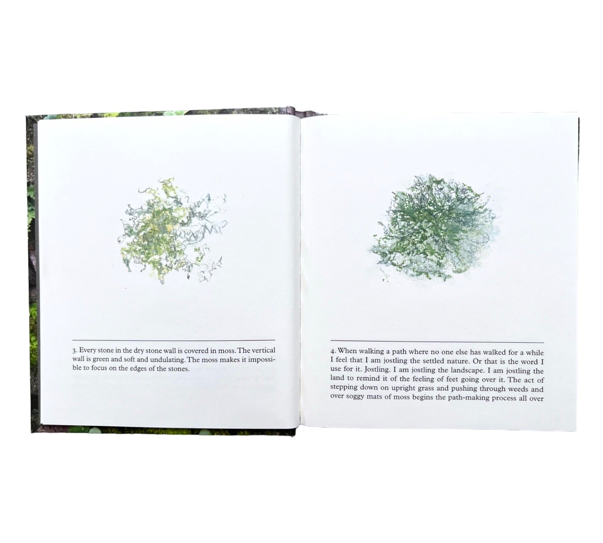 Erica Van Horn & Kate Van Houten: of Lichen & Moss