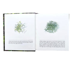 Erica Van Horn & Kate Van Houten: of Lichen & Moss