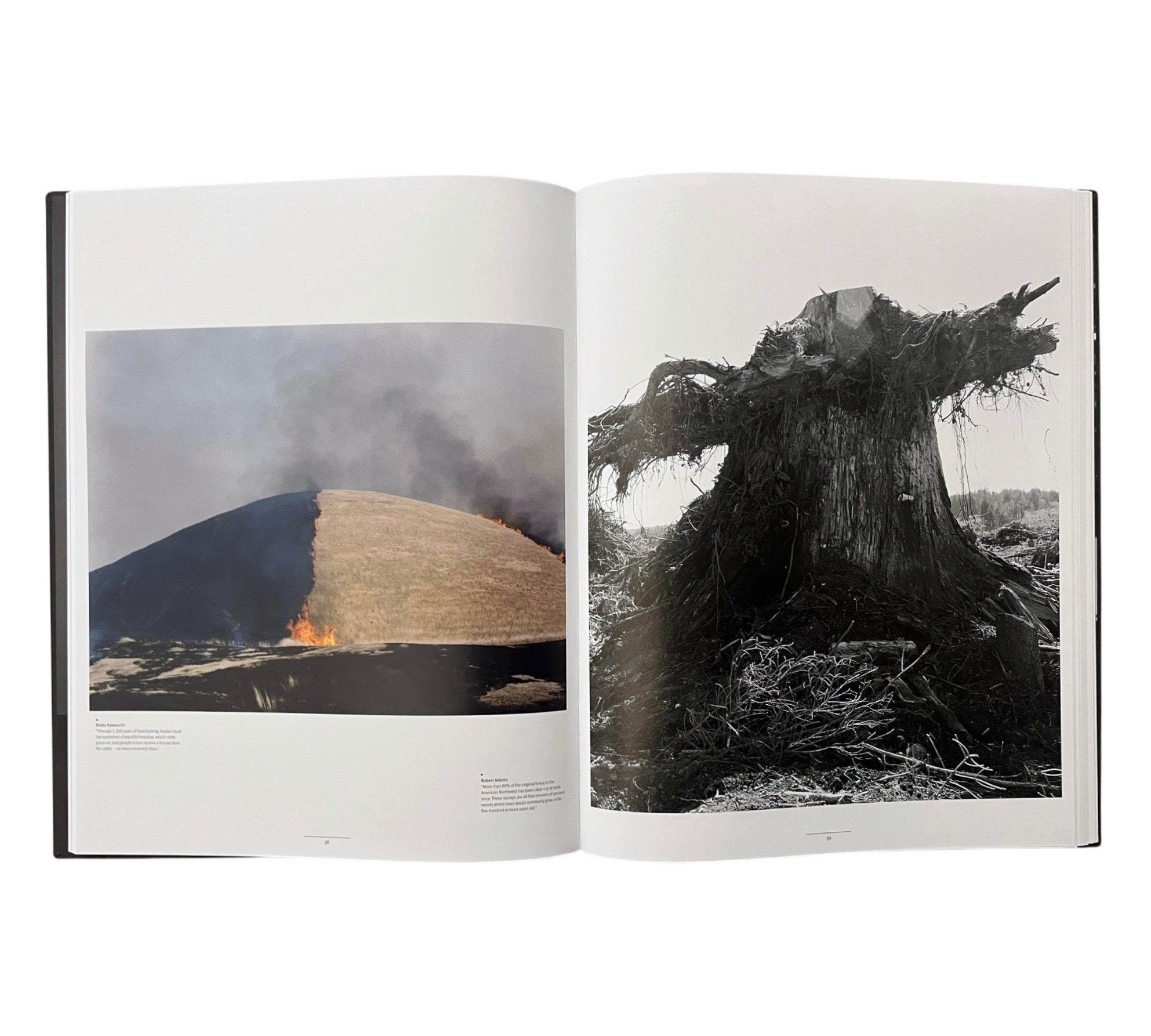 Prix Pictet: power/disorder/ten (3-volume bundle)