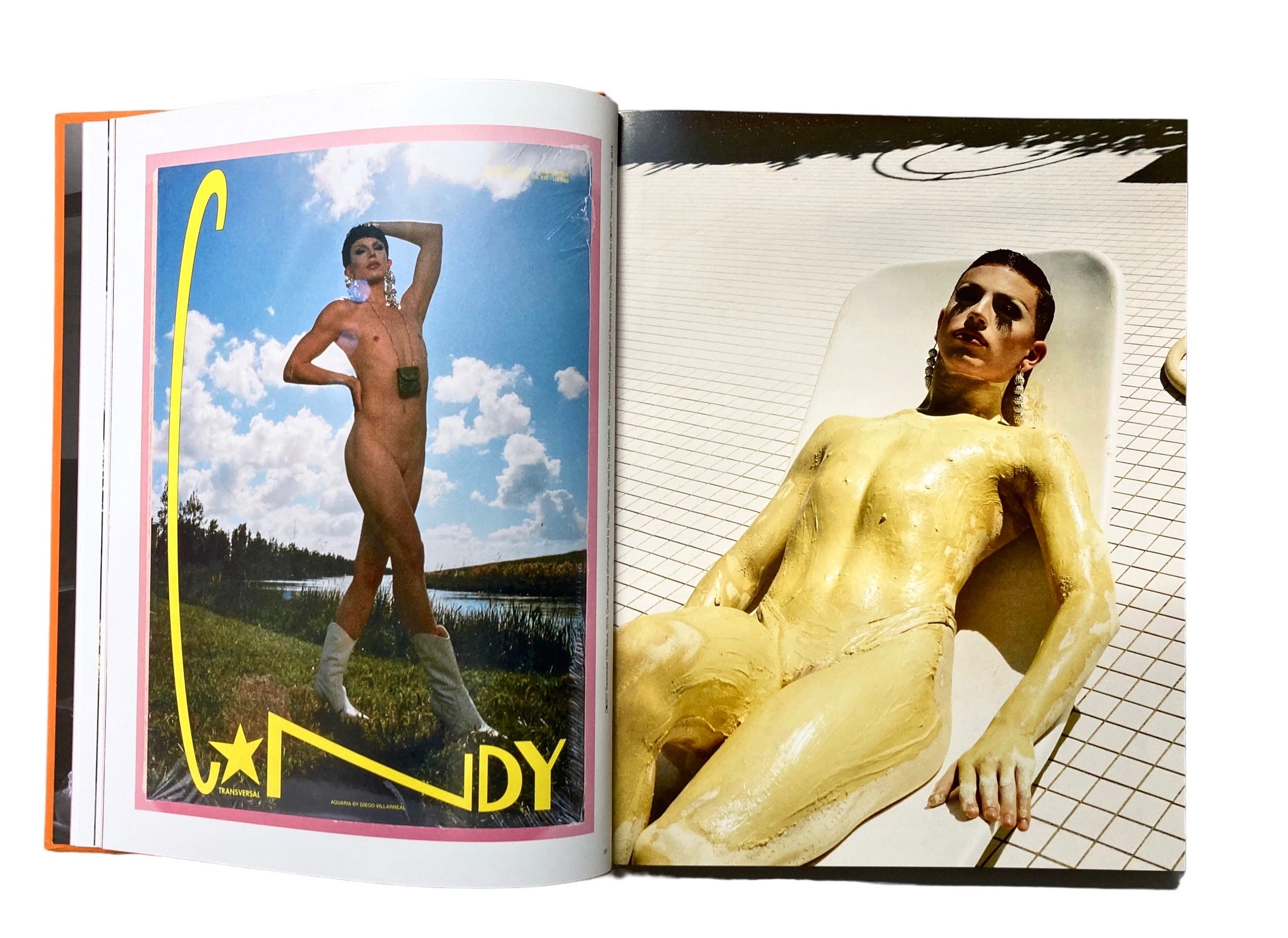 The C*NDY Book of Transversal Creativity: The Best of C*NDY Magazine, Allegedly