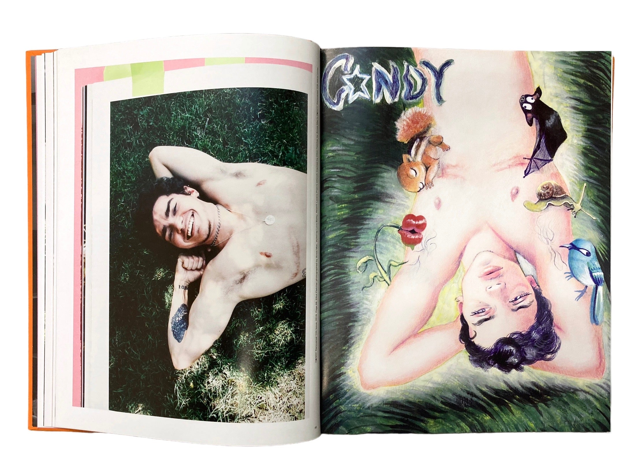 The C*NDY Book of Transversal Creativity: The Best of C*NDY Magazine, Allegedly