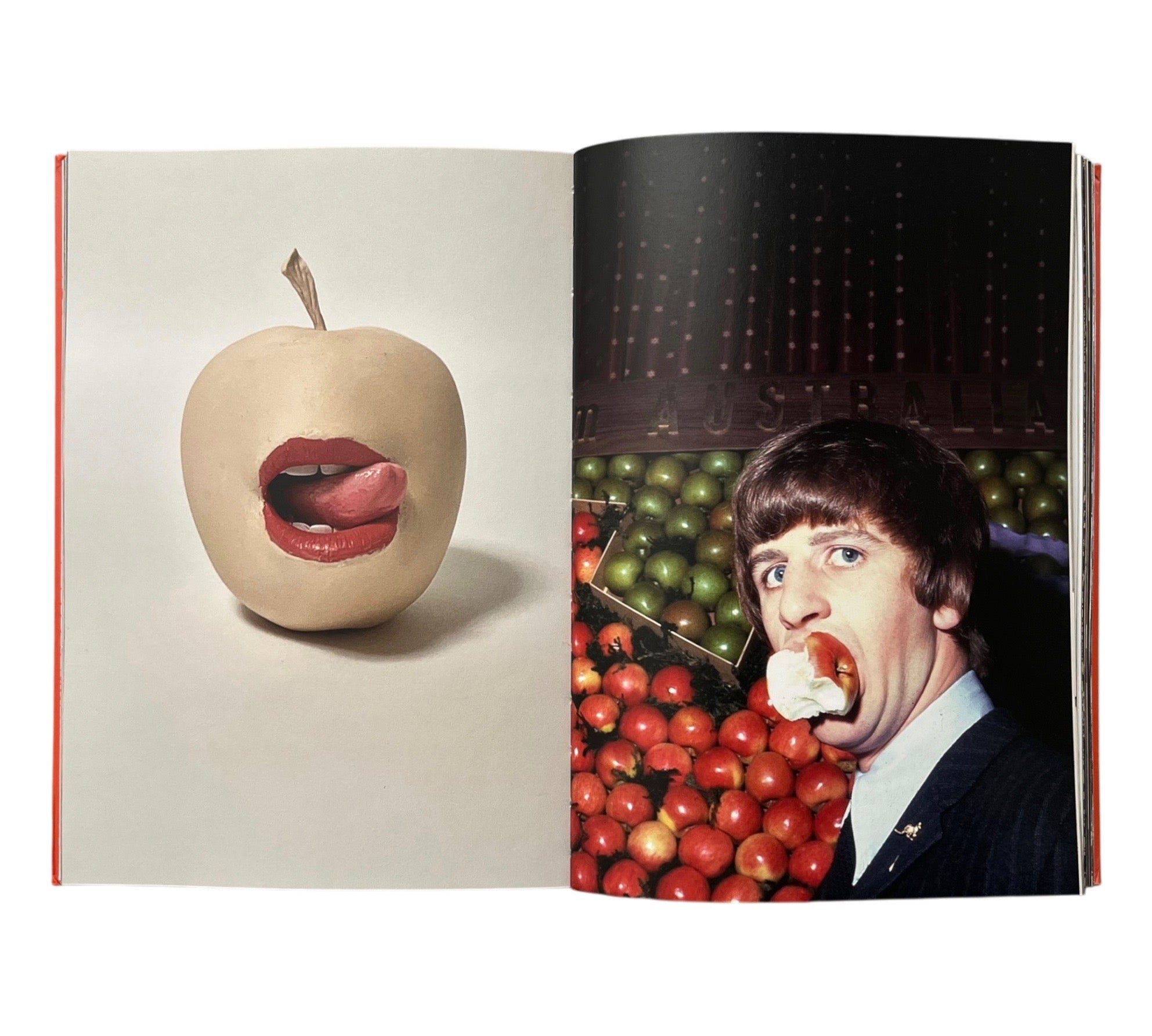 Barnaby Barford: The Apple is Everything