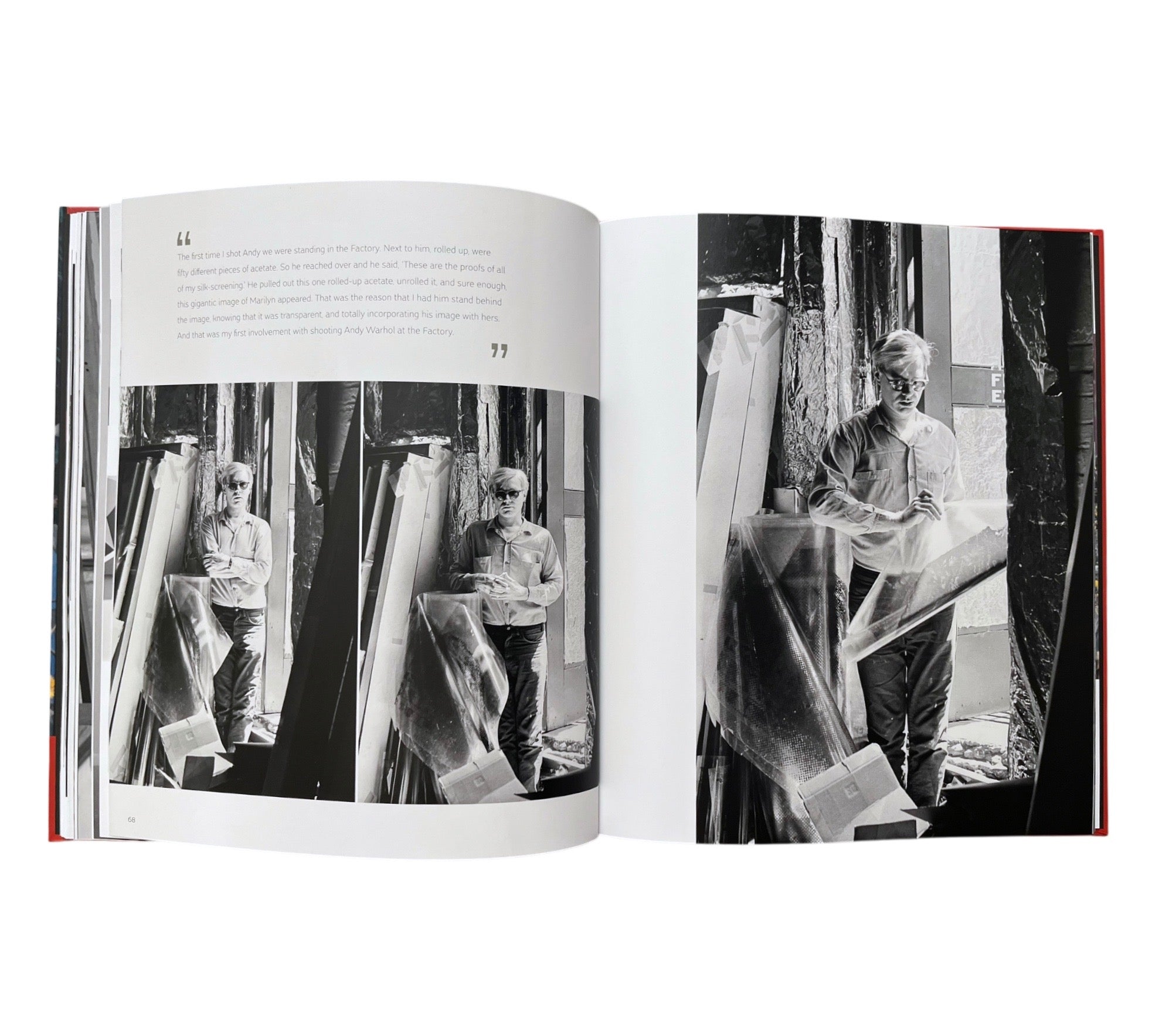 William John Kennedy: The Lost Archive: Photographs of Andy Warhol and Robert Indiana