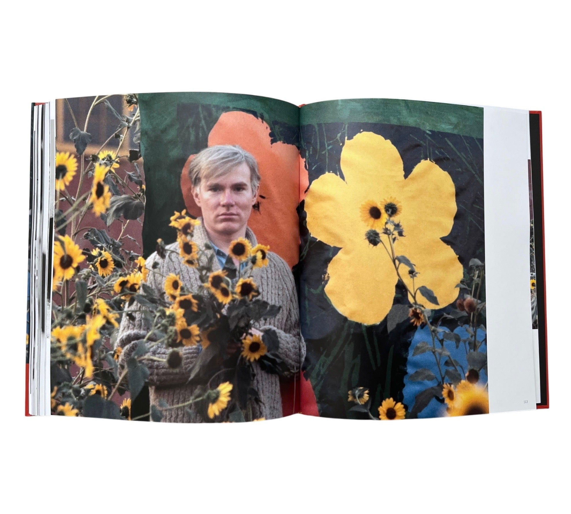 William John Kennedy: The Lost Archive: Photographs of Andy Warhol and Robert Indiana