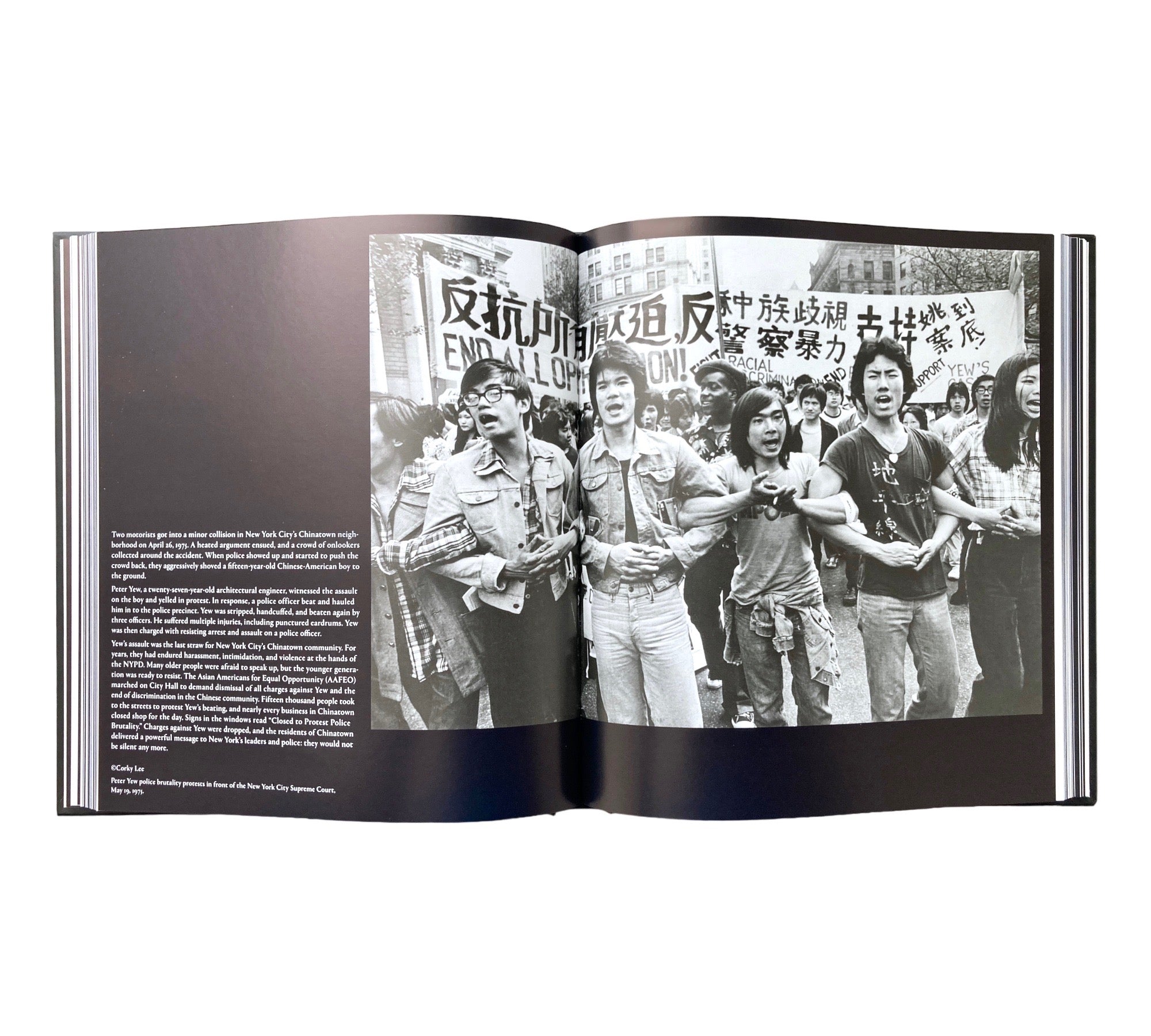 Picturing Resistance: Moments and Movements of Social Change from the 1950s to Today