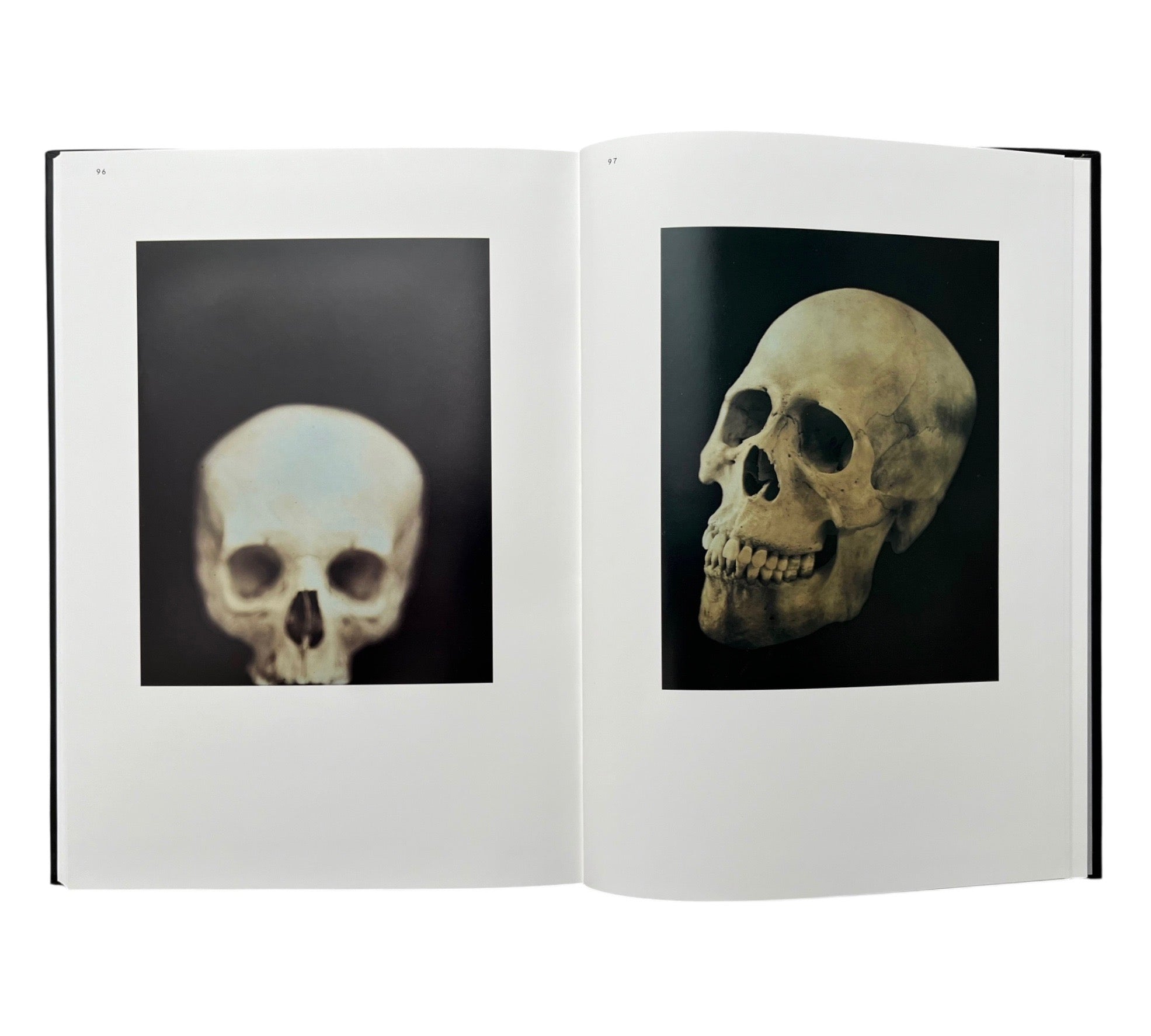 Adam Fuss: Photograms of Life and Death