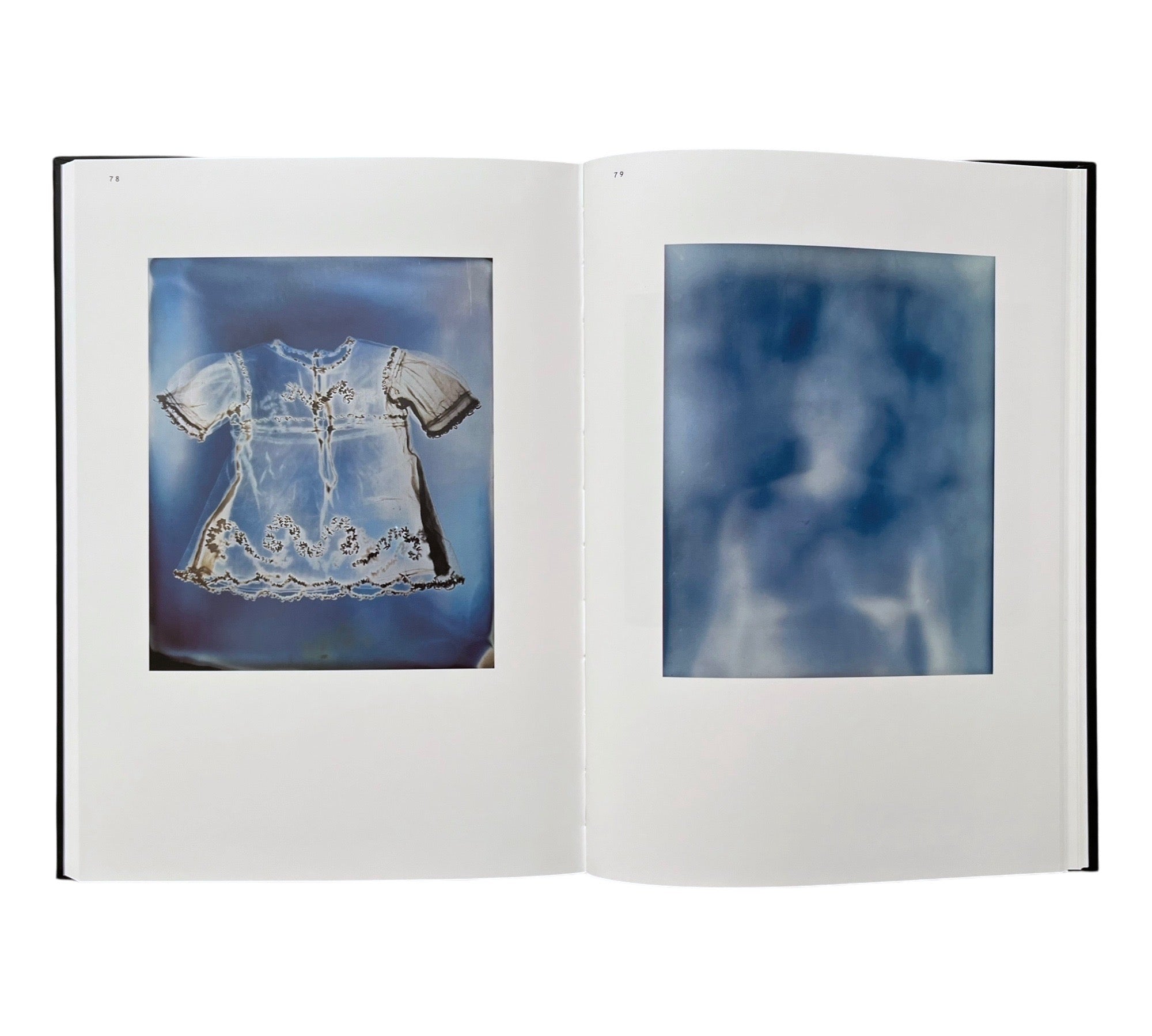 Adam Fuss: Photograms of Life and Death