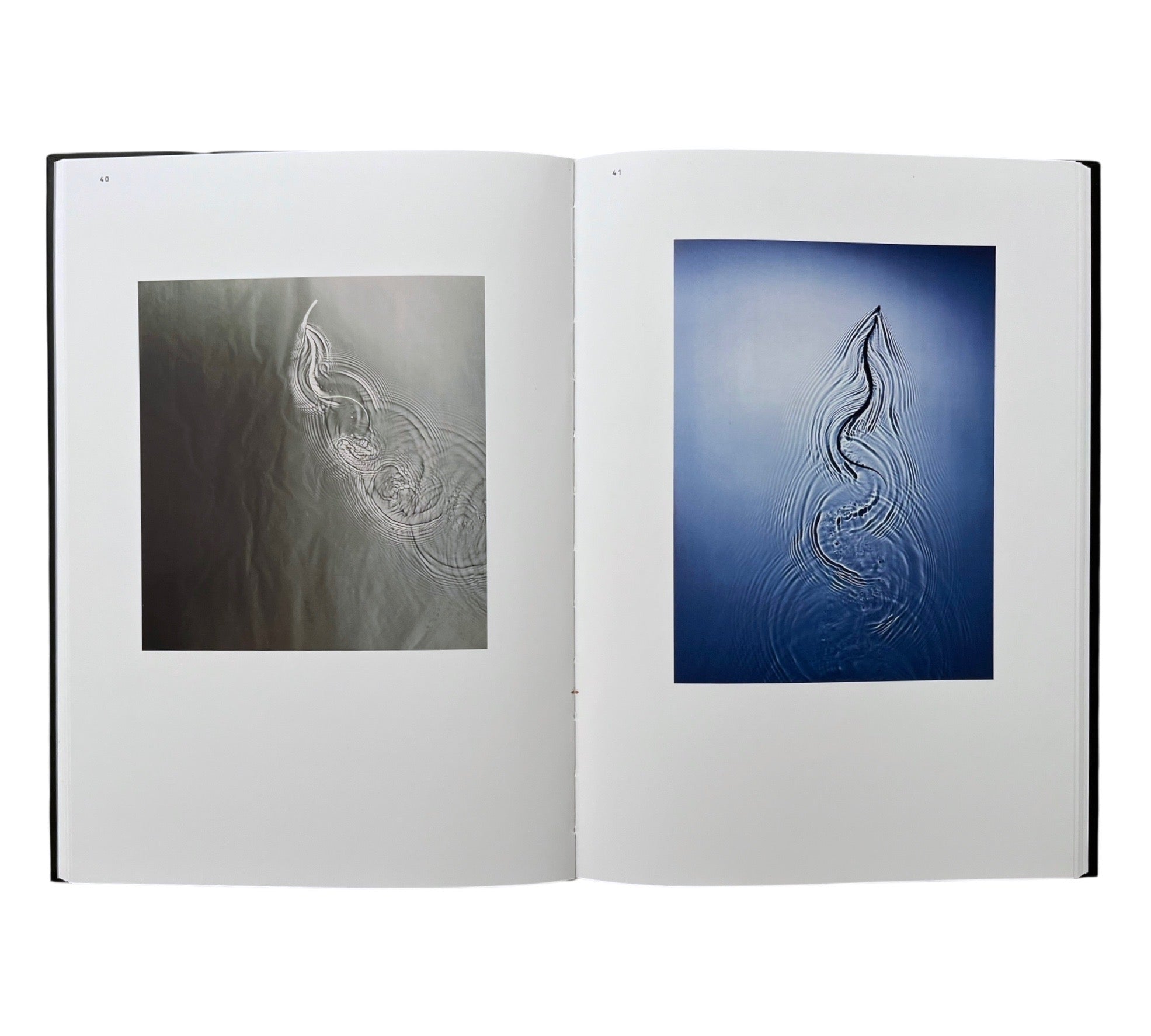 Adam Fuss: Photograms of Life and Death